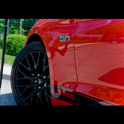 SP Pilotage Automobile - Ford Mustang