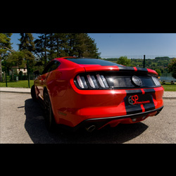 SP Pilotage Automobile - Ford Mustang