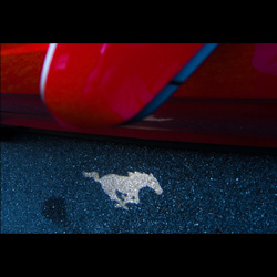 SP Pilotage Automobile - Ford Mustang